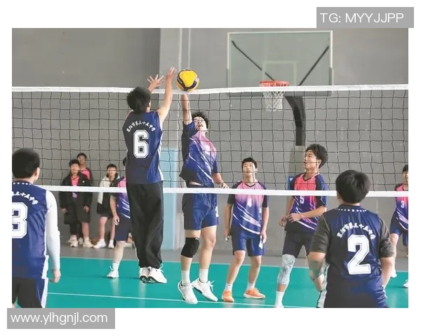 广州排球队配合变革引发热议提升团队默契与竞技水平的探索之路