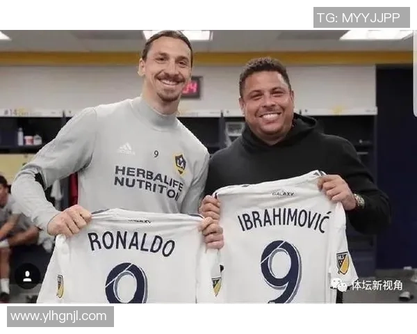 深圳篮球队的比赛经验揭秘：从巨星到团队的成长之路